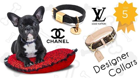 Prada luxury dog accessories